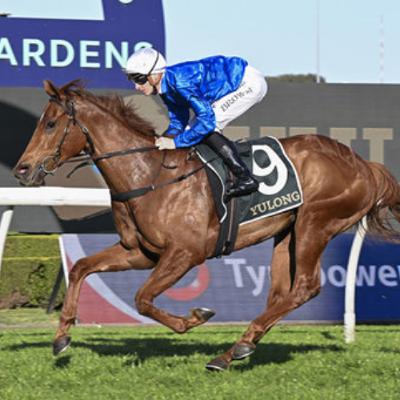 Punter's Preamble - 2025 Golden Rose Day