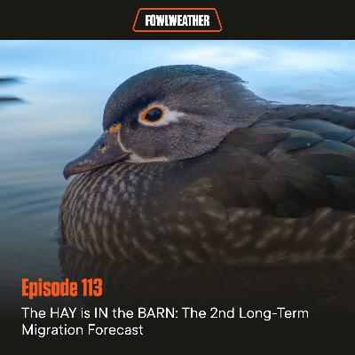 Ep. 113 – The HAY is IN the BARN: The 2nd Long-Term Migration Forecast