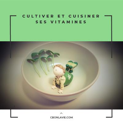 Transformer sa cuisine en jardin Transformer sa cuisine en jardin