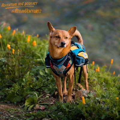 Katherine & Robin @RobinVentures