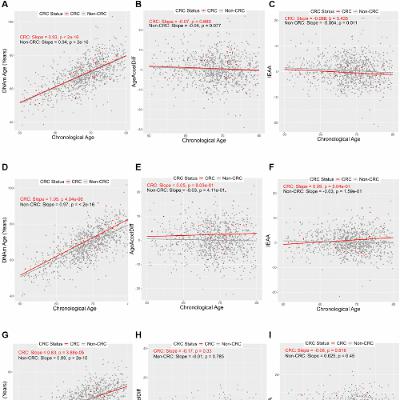 Epigenetic Aging Markers Predict Colorectal Cancer Risk in Postmenopausal Women