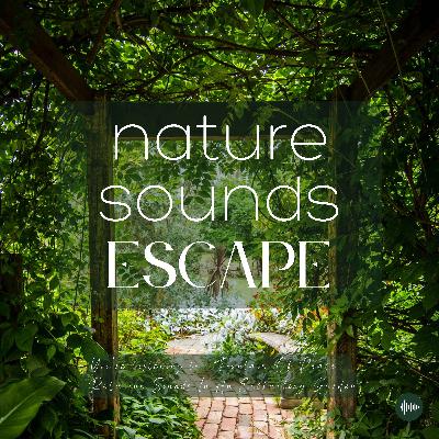 Fountain Of Peace | Fountain Sounds In An Enchanting Garden | Relaxing Nature Sounds For Sleep, Meditation, Relaxation, Studying Or Focus | Sleep Music, Sleep Sounds, Rain, Study Music, Zen, Sleep Fast, White Noise For Sleep, Música Relajante Para Dormir