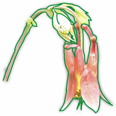 E65 - Hour 2 - Feels Like Fall!