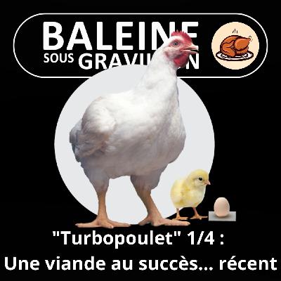 S05E63 Le "Turbopoulet" 1/4 : Un succès mondial... récent (Axelle Playoust-Braure)