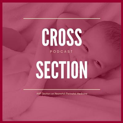 Cross Section - October 13, 2017 - MidCaN (Middle Career Neonatologists Group) Cross Section - October 13, 2017 - MidCaN (Middle Career Neonatologists Group)