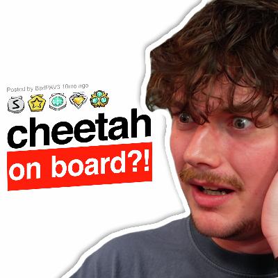 A cheetah escaped on our plane…we had to rescue a transplant heart before it got hungry |Airport Nightmares  | Reddit Stories | EP2600