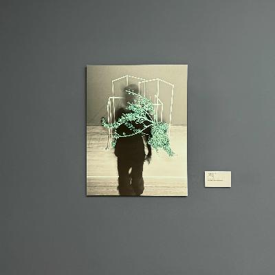 Katharina Schreiter, Membran - 4