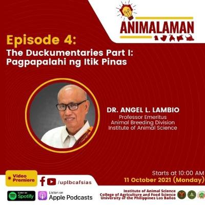 The Duckumentaries Part I: Pagpapalahi ng Itik Pinas | Ep. 4