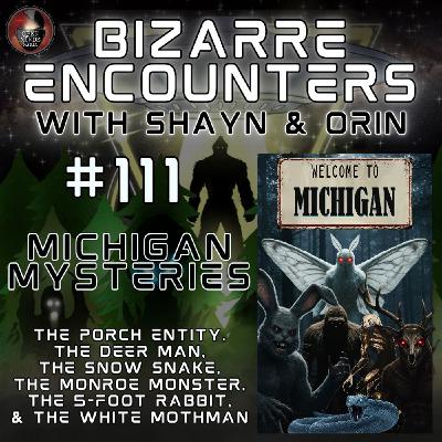 #111 Michigan Mysteries