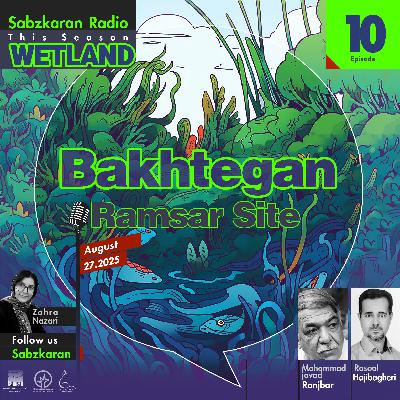 wetland - 10 - Bakhtegan