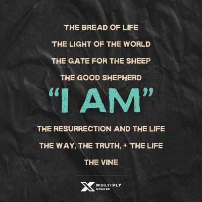 Week 8 - I AM the Resurrection and the Life