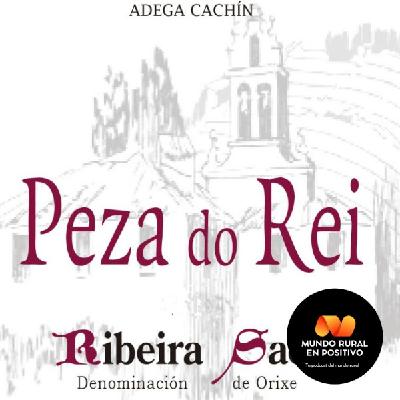 Bodega Cachín, viticultores de la Ribeira Sacra Bodega Cachín, viticultores de la Ribeira Sacra