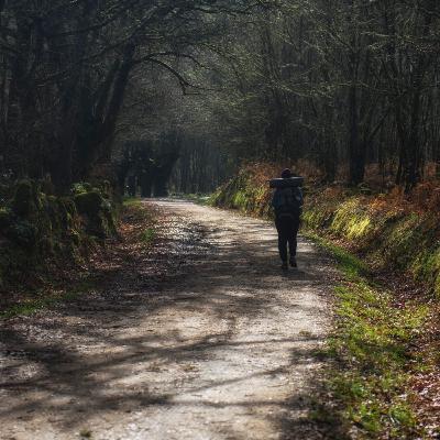 Heer, wijs mij Uw weg | André Meulmeester | Gouda
