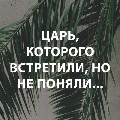 Пупышев Игорь - Царь, Которого встретили, но не поняли Пупышев Игорь - Царь, Которого встретили, но не поняли
