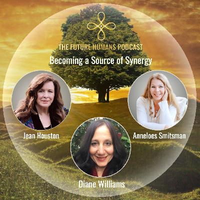 Becoming a Source of Synergy with Diane Williams