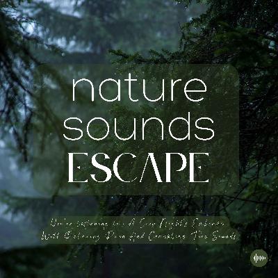 A Cozy Night's Embrace With Relaxing Rain and Crackling Fire Sounds | Nature Sounds For Sleep, Meditation, Relaxation Or Focus | Sleep Music, Sleep Sounds, Study Music, Sleep Fast, White Noise For Sleep, Rainfall, ASMR, Musique Pour Dormir