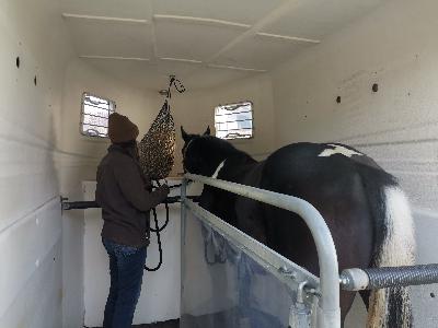 Folge 14: Verladetraining