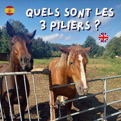 15. L'anglais à cheval - Quels sont les 3 piliers pour progresser dans l'apprentissage d'une langue étrangère ? 15. L'anglais à cheval - Quels sont les 3 piliers pour progresser dans l'apprentissage d'une langue étrangère ?