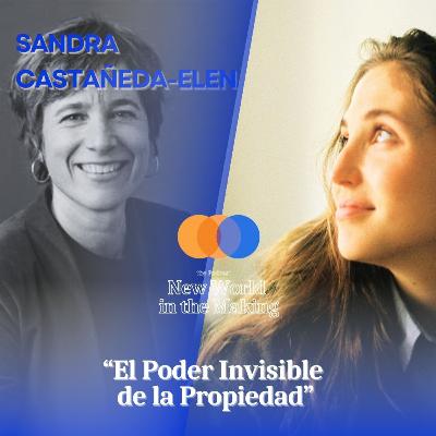 El Poder Invisible de la Propiedad - Sandra Castañeda-Elena El Poder Invisible de la Propiedad - Sandra Castañeda-Elena