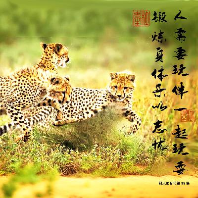 039小伙伴一起玩耍，活得更开心，锻炼身体，乐以忘忧，也不一定非得是体育项目