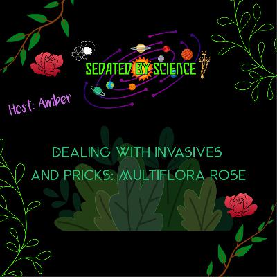 Restoring Forests Episode 2: Dealing with Invasives and Pricks —Multiflora