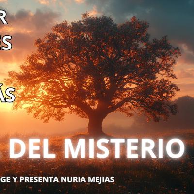 435- 2x11- RECONOCER LOS ERRORES- SEÑAL DESDE EL MÁS ALLÁ