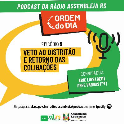 Veto ao distritão e volta das coligações partidárias em debate Veto ao distritão e volta das coligações partidárias em debate