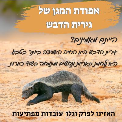 אפודת המגן של גירית הדבש