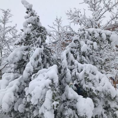 Autohipnosis de 21 días libre del tabaco