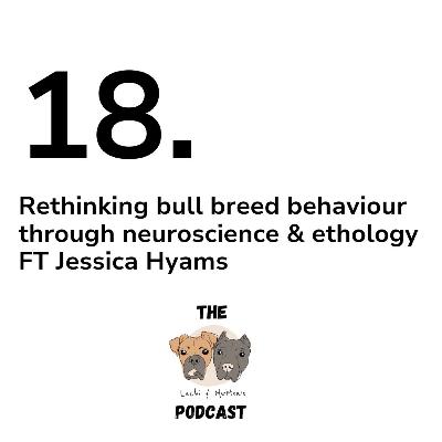 18. Rethinking bull breed behaviour FT Jessica Hyams