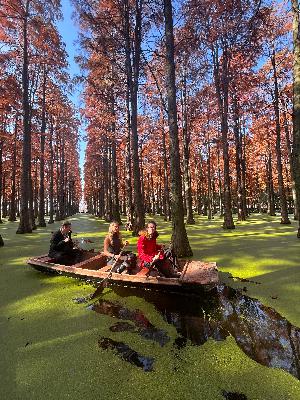 Green Galaxies of Yangzhou