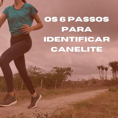 Os 6 passos para identificar canelite #14