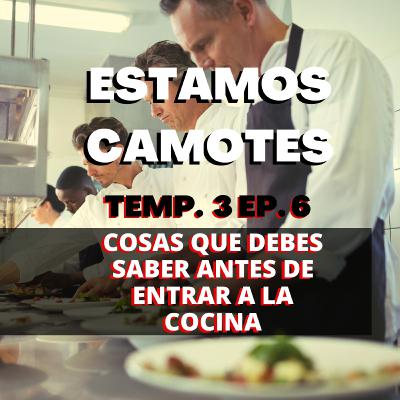 COSAS QUE DEBES SABER ANTES DE ENTRAR AL MUNDOD DE LA COCINA- ESTAMOS CAMOTES TEMP. 3 EP. 6