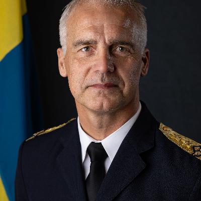 Podd 212 - Försvarsmaktens återuppbyggnad - Flygvapnet