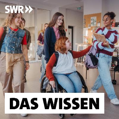 Inklusion an Schulen ‒ Woran sie scheitert und wie sie gelingt