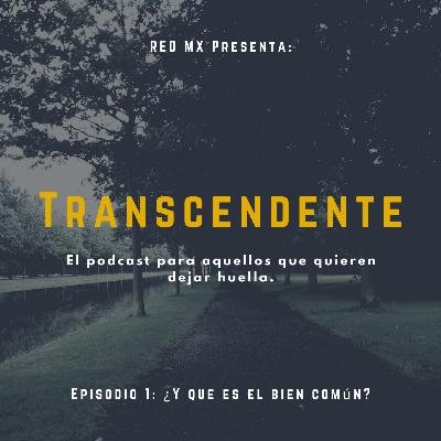 E01.- ¿Y que es el bien común?