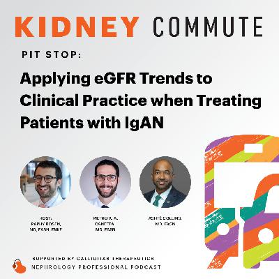 Pitstop: Applying eGFR Trends to Clinical Practice when Treating Patients with IgAN