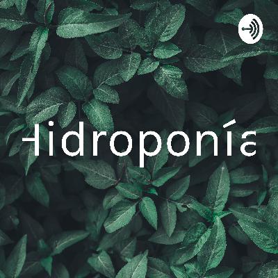 La hidroponía