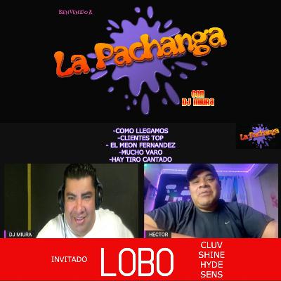 LA PACHANGA /// EL LOBO / LOS CLUBES V.I.P. DE LA C.D.M.X. CLUV/SHINE/HYDE/SENS