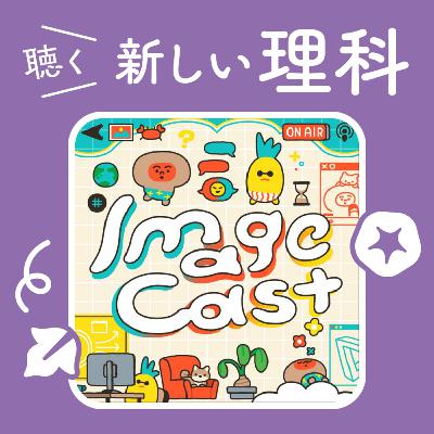 10.教科書は「やってはいけない」と言うけれど【Image Cast】