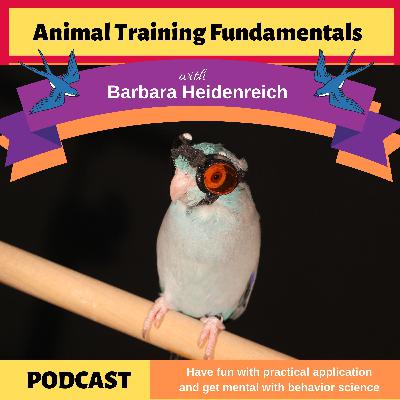 25 - How Trained Birds are Advancing Technology with Dr David Lentink 25 - How Trained Birds are Advancing Technology with Dr David Lentink