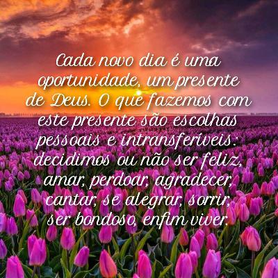 0023♡Decida viver feliz... 0023♡Decida viver feliz...
