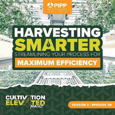 038 - Harvesting Smarter: Streamlining Your Process for Maximum Efficiency