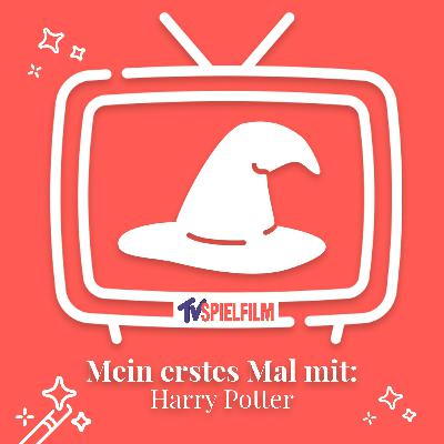 Folge 1: "Harry Potter und der Stein der Weisen"