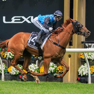 Weekend Review - 2025 Cup Week