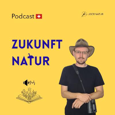 #6 Einfache Lösungen und Beispiele für naturnahe Gärten #6 Einfache Lösungen und Beispiele für naturnahe Gärten