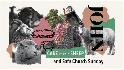 Care For The Sheep | Lead Pastors Rohan & Jill Bell