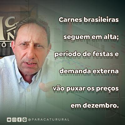 Preços do boi: pecuaristas evitam “otimismo”; escalas de fim de ano elevam as cotações do boi gordo