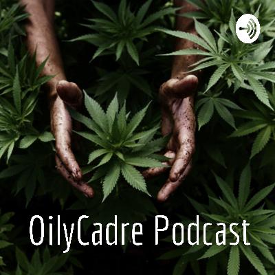 Episode 2 - Shane and Nicholas Podcast