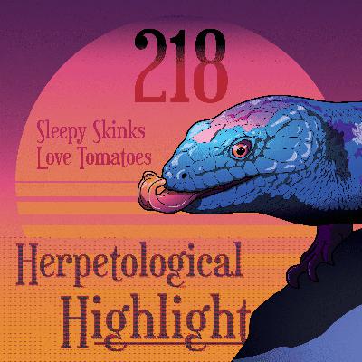 218 Sleepy Skinks Love Tomatoes 218 Sleepy Skinks Love Tomatoes